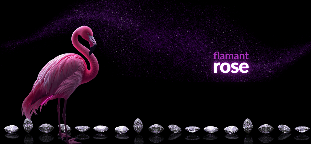 Flamingo 🦩 Rosa